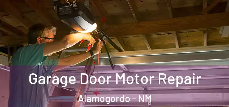  Garage Door Motor Repair Alamogordo - NM