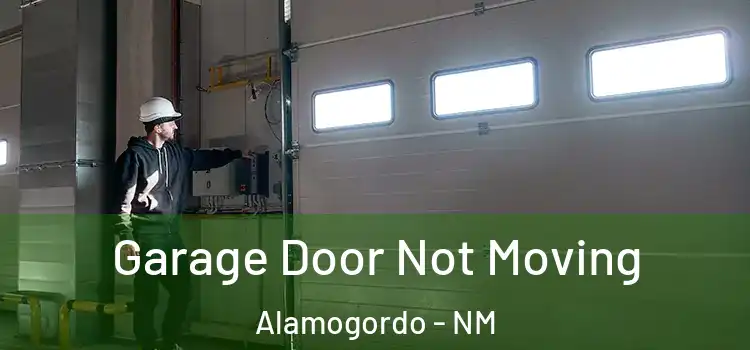  Garage Door Not Moving Alamogordo - NM