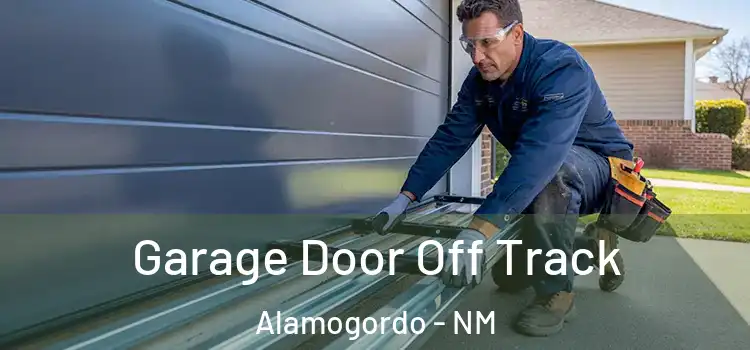  Garage Door Off Track Alamogordo - NM