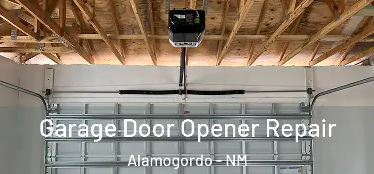  Garage Door Opener Repair Alamogordo - NM
