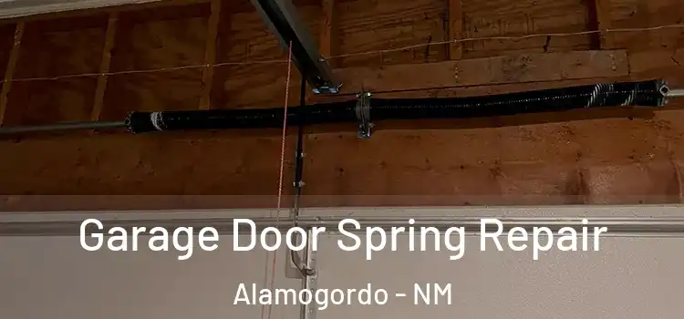  Garage Door Spring Repair Alamogordo - NM