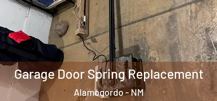  Garage Door Spring Replacement Alamogordo - NM