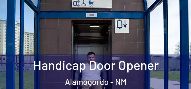  Handicap Door Opener Alamogordo - NM