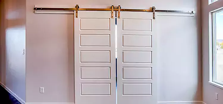 Glass Barn Door with Installation Hardware Kit Alamogordo