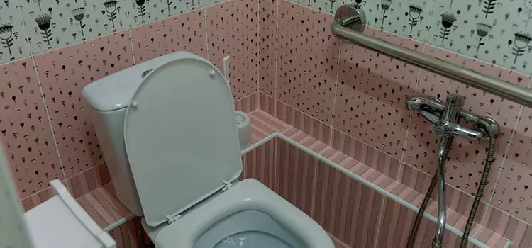 Meeting Diverse Needs With Accessible Restroom Solutions in Alamogordo, NM