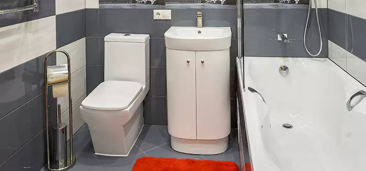 Hansgrohe Shaving Mirror Alamogordo