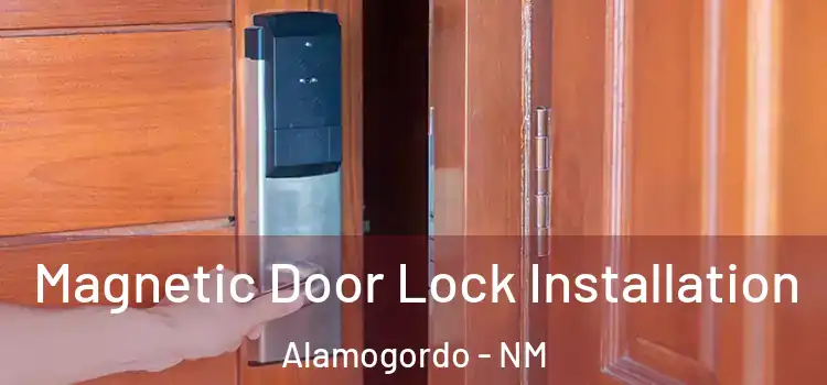  Magnetic Door Lock Installation Alamogordo - NM