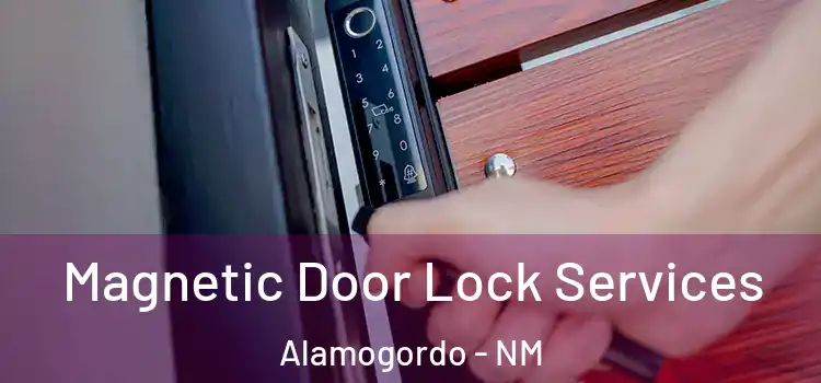  Magnetic Door Lock Services Alamogordo - NM