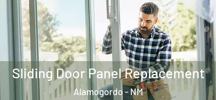  Sliding Door Panel Replacement Alamogordo - NM